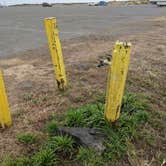 Review photo of Samoa Boat Ramp County Park by Kodi R., June 13, 2018