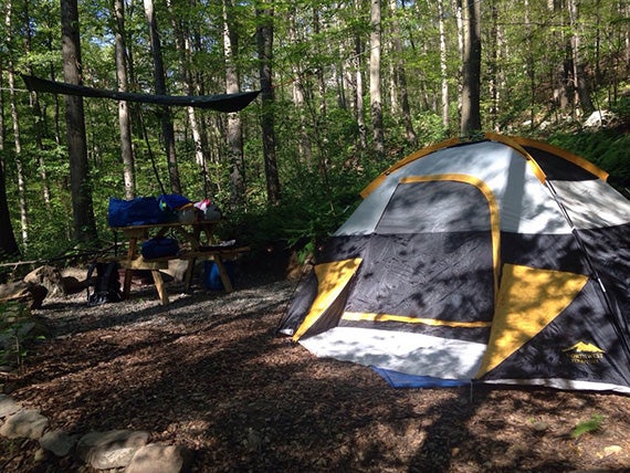 Camper submitted image from Malouf's Mountain Campground - 2
