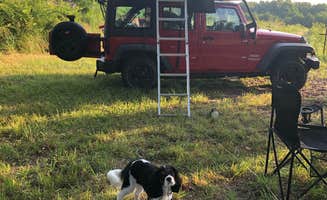 Nick S.'s photo of camping with pets at B Berry Farms & Co. near Springfield, MO