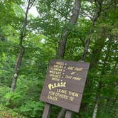 Review photo of Mount Blue State Park Campground by Roger F., July 5, 2021