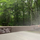 Review photo of Mount Blue State Park Campground by Roger F., July 5, 2021