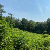 Review photo of Cub Lake Campground #2 — Natchez Trace State Park by Anna , July 5, 2021