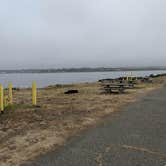 Review photo of Samoa Boat Ramp County Park by Kodi R., June 13, 2018