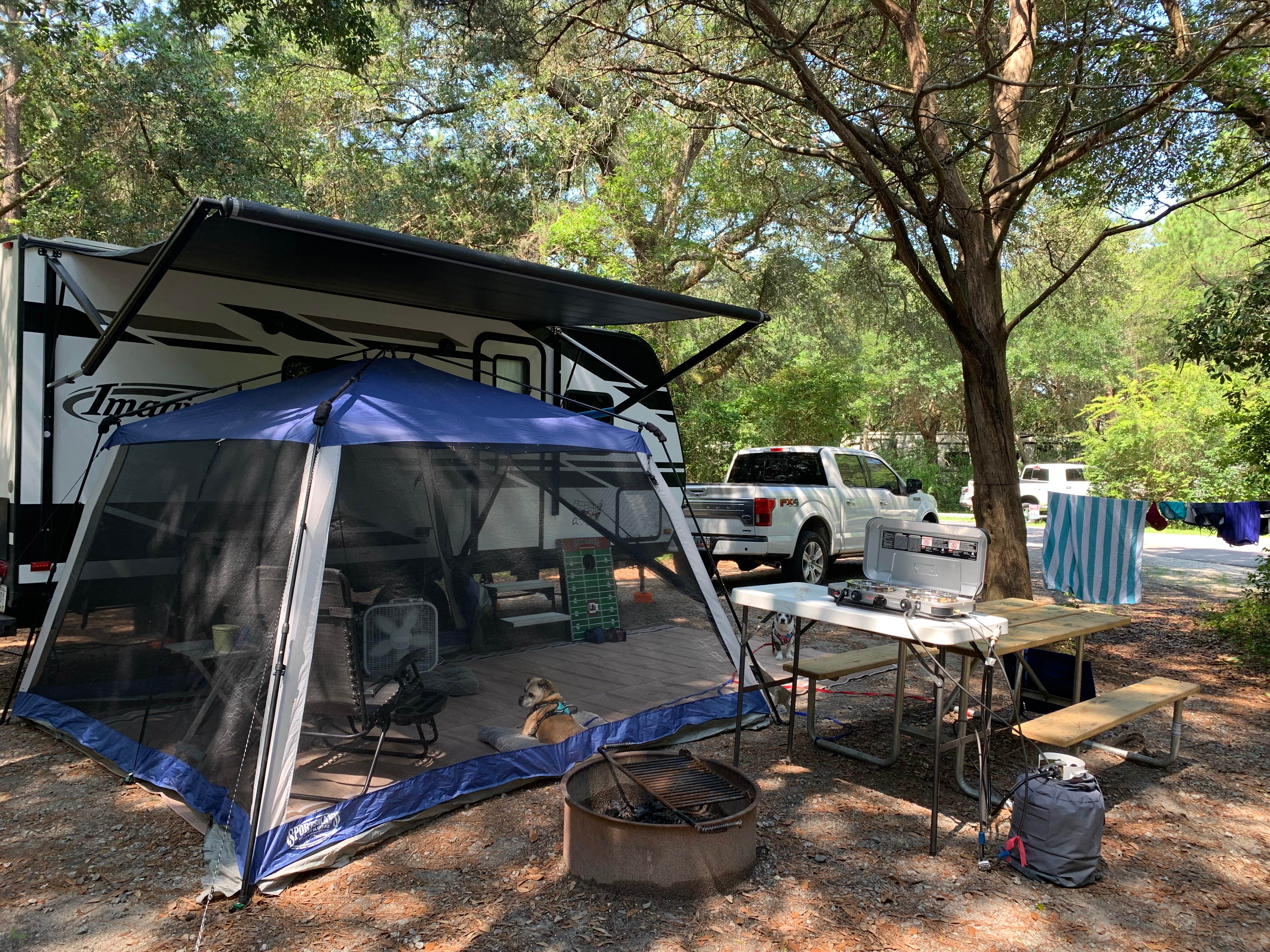 Jason F.'s photo at Huntington Beach State Park Campground near Georgetown, SC