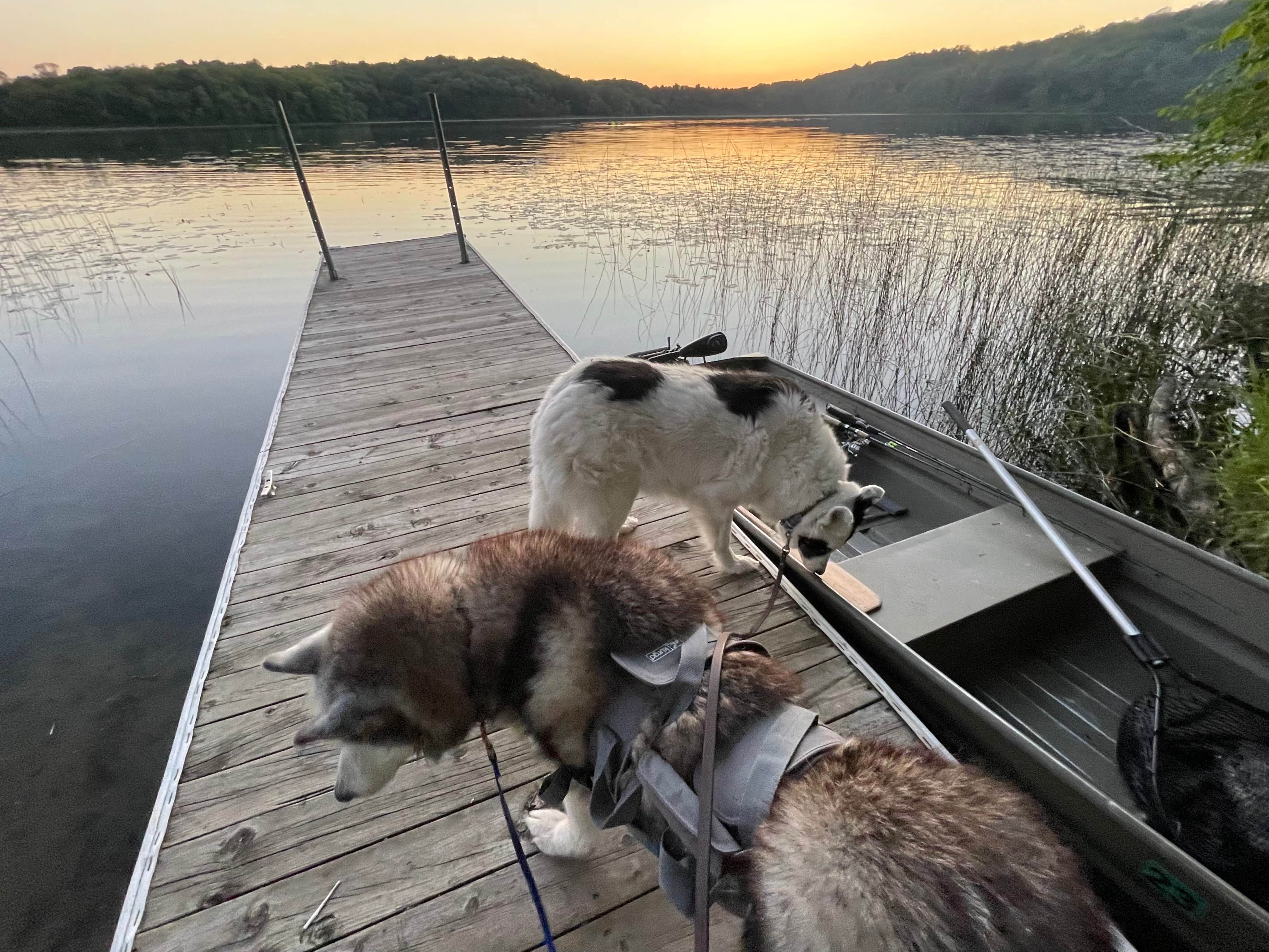 René M.'s photo of camping with pets at Grass Lake Campground — Maplewood State Park near Glyndon, MN