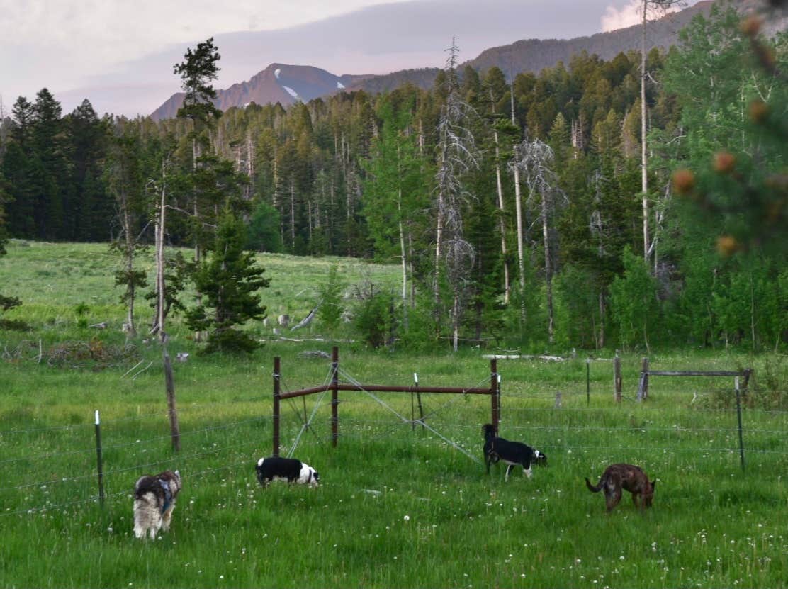 Camper-submitted photo at Ibex Cabin near Mcleod, MT