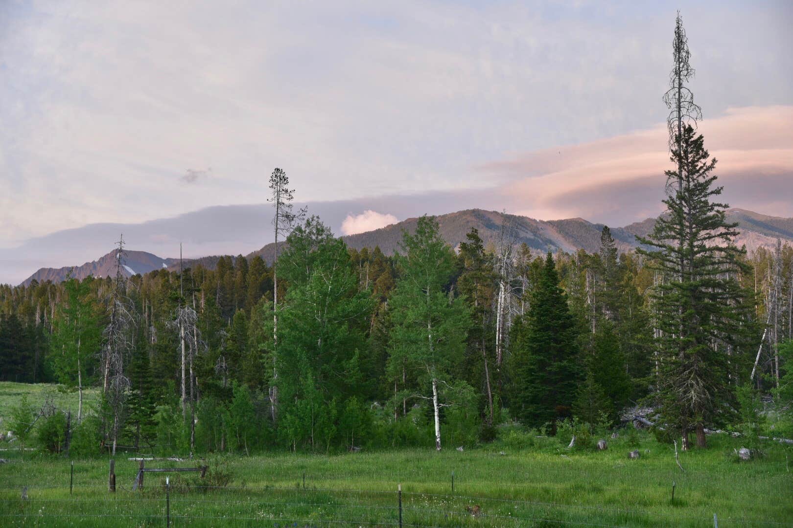 Camper-submitted photo at Ibex Cabin near Mcleod, MT
