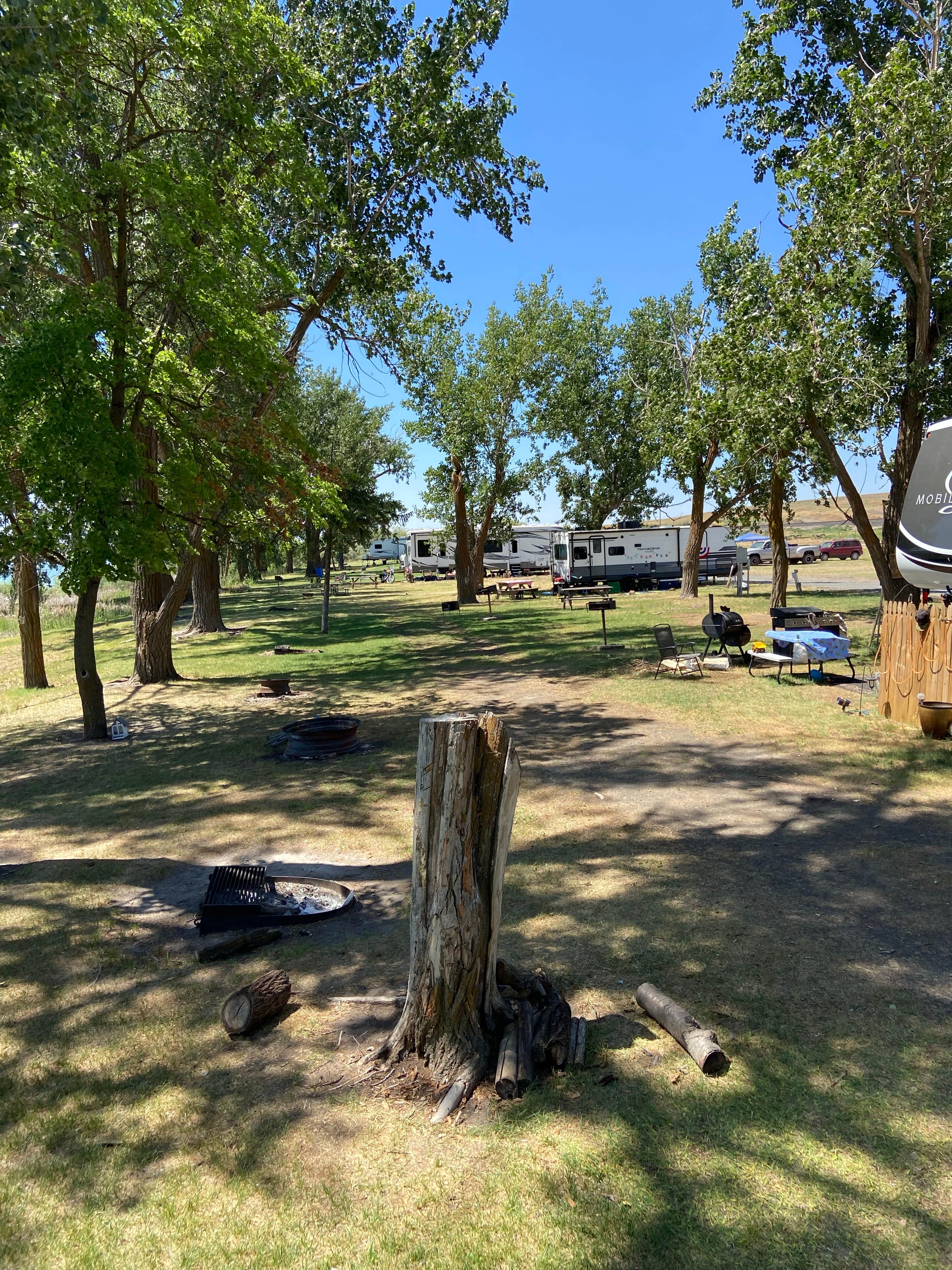 Joe C.'s photo at Four Seasons Campground & Resort near St. John, WA