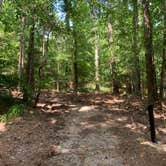 Review photo of Rocky Point(wright Patman Dam) by Natalie S., July 5, 2021