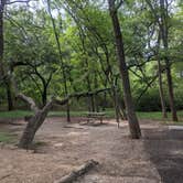 Review photo of McKinney Falls State Park Campground by Andrea , July 5, 2021