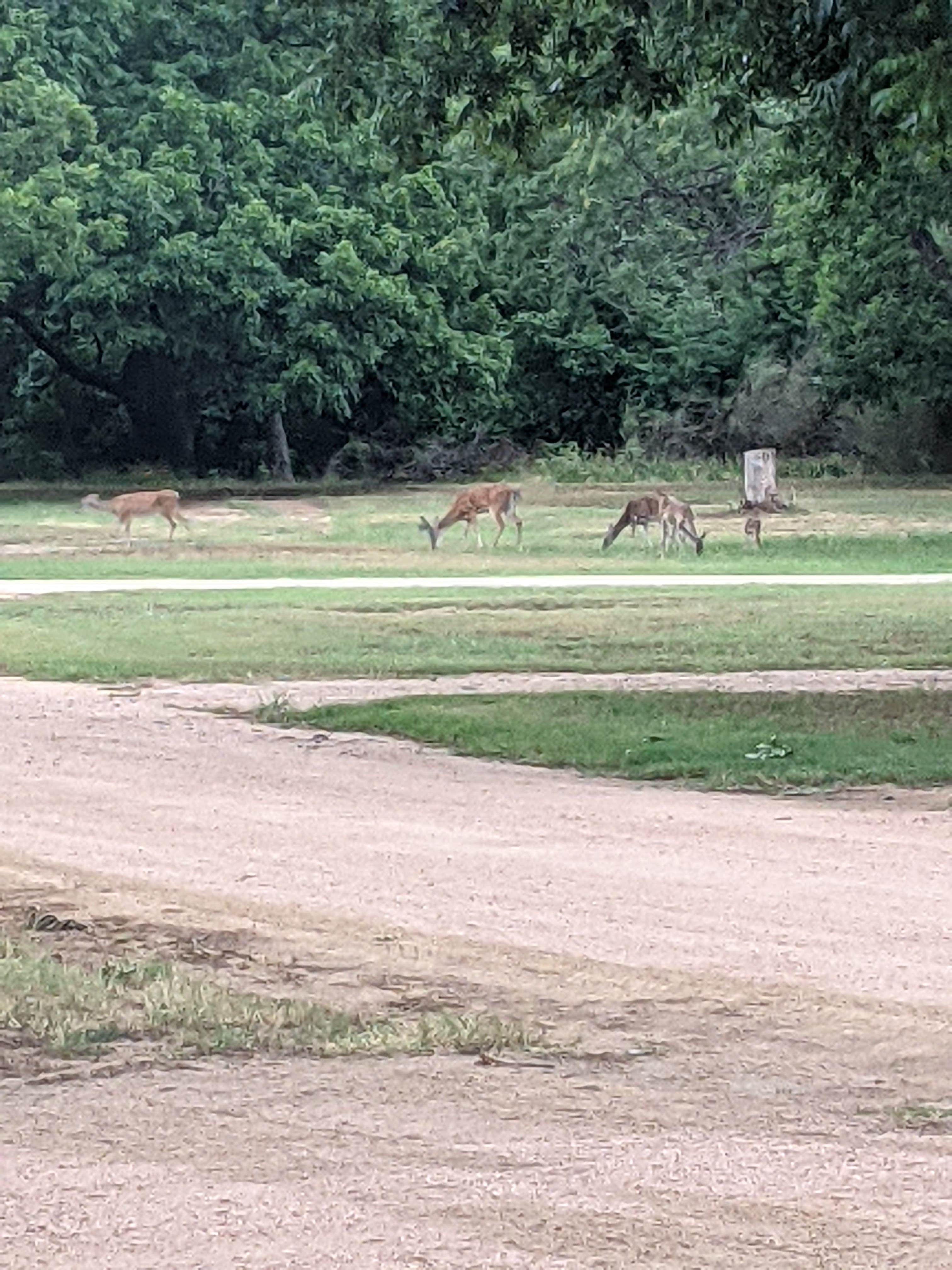 Camper-submitted photo at Fort Mason City Park near Mountain Home, TX