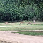 Review photo of Fort Mason City Park by Andrea , July 5, 2021