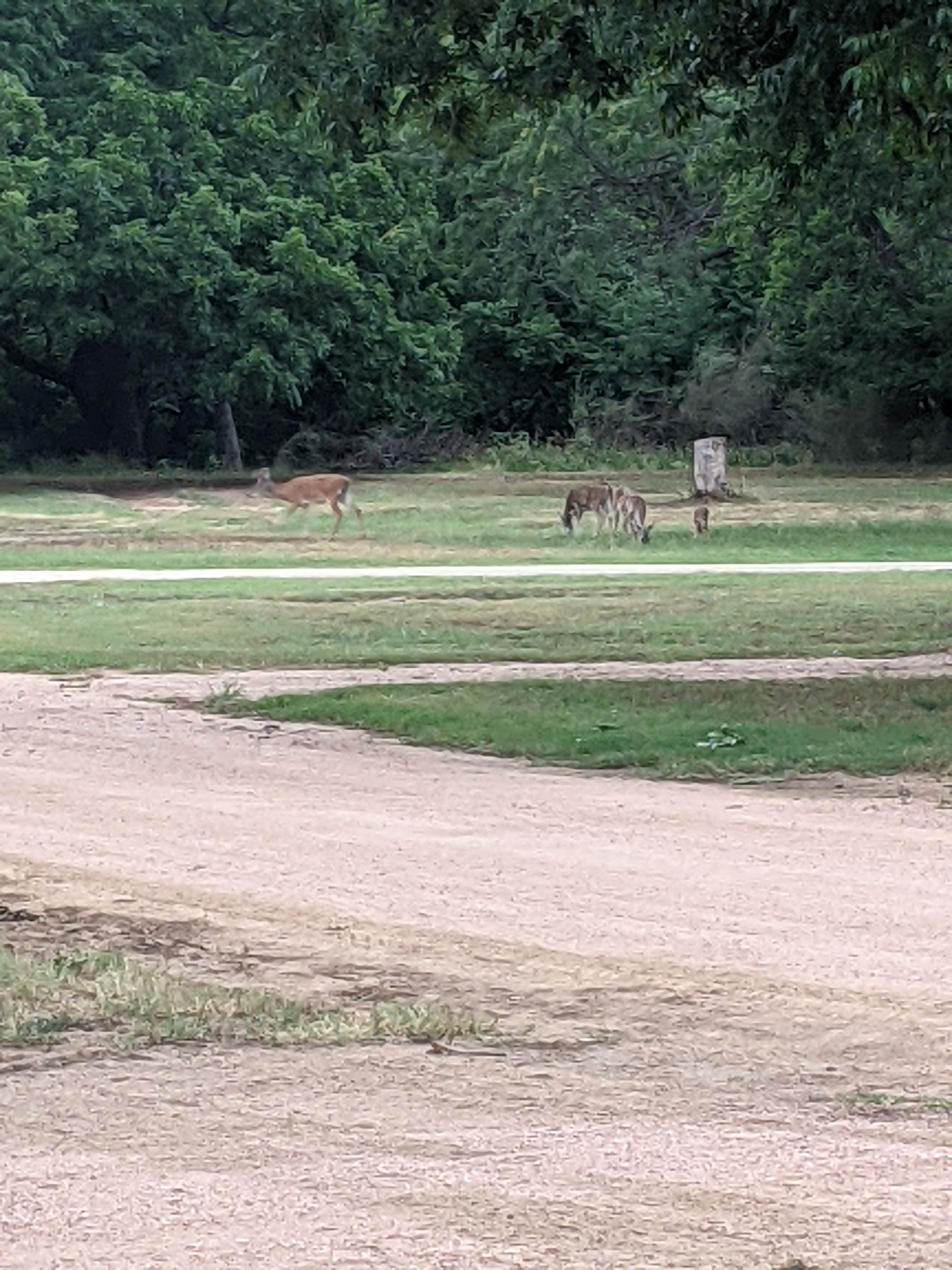 Camper-submitted photo at Fort Mason City Park near Mountain Home, TX