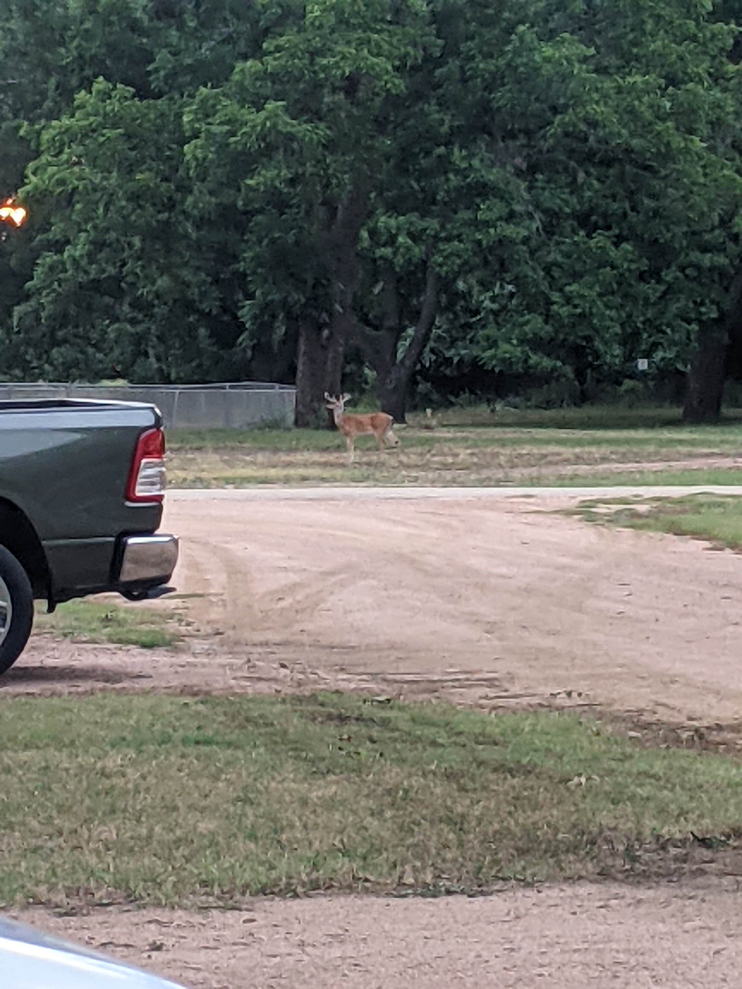 Camper-submitted photo at Fort Mason City Park near Mountain Home, TX