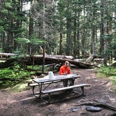 Review photo of Cougar Rock Campground — Mount Rainier National Park by Greg T., June 13, 2018