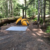Review photo of Cougar Rock Campground — Mount Rainier National Park by Greg T., June 13, 2018