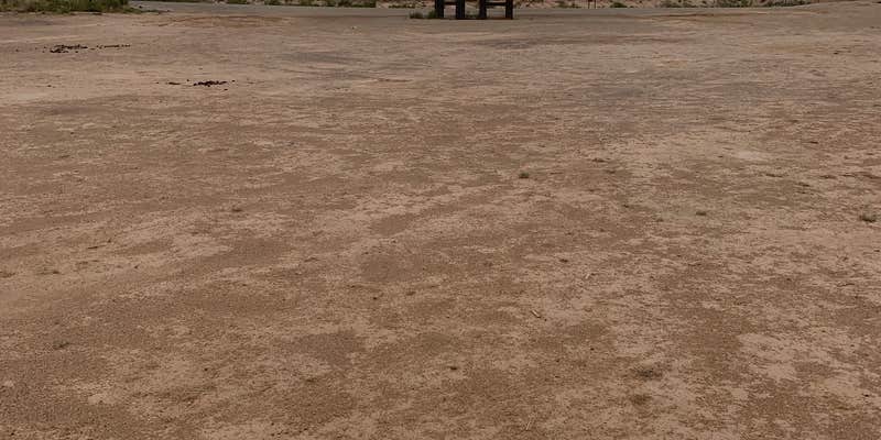 Camper submitted image from Exit 131 Dispersed Camping