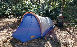 James T.'s photo of tent camping at Burrells Ford near Dillard, GA
