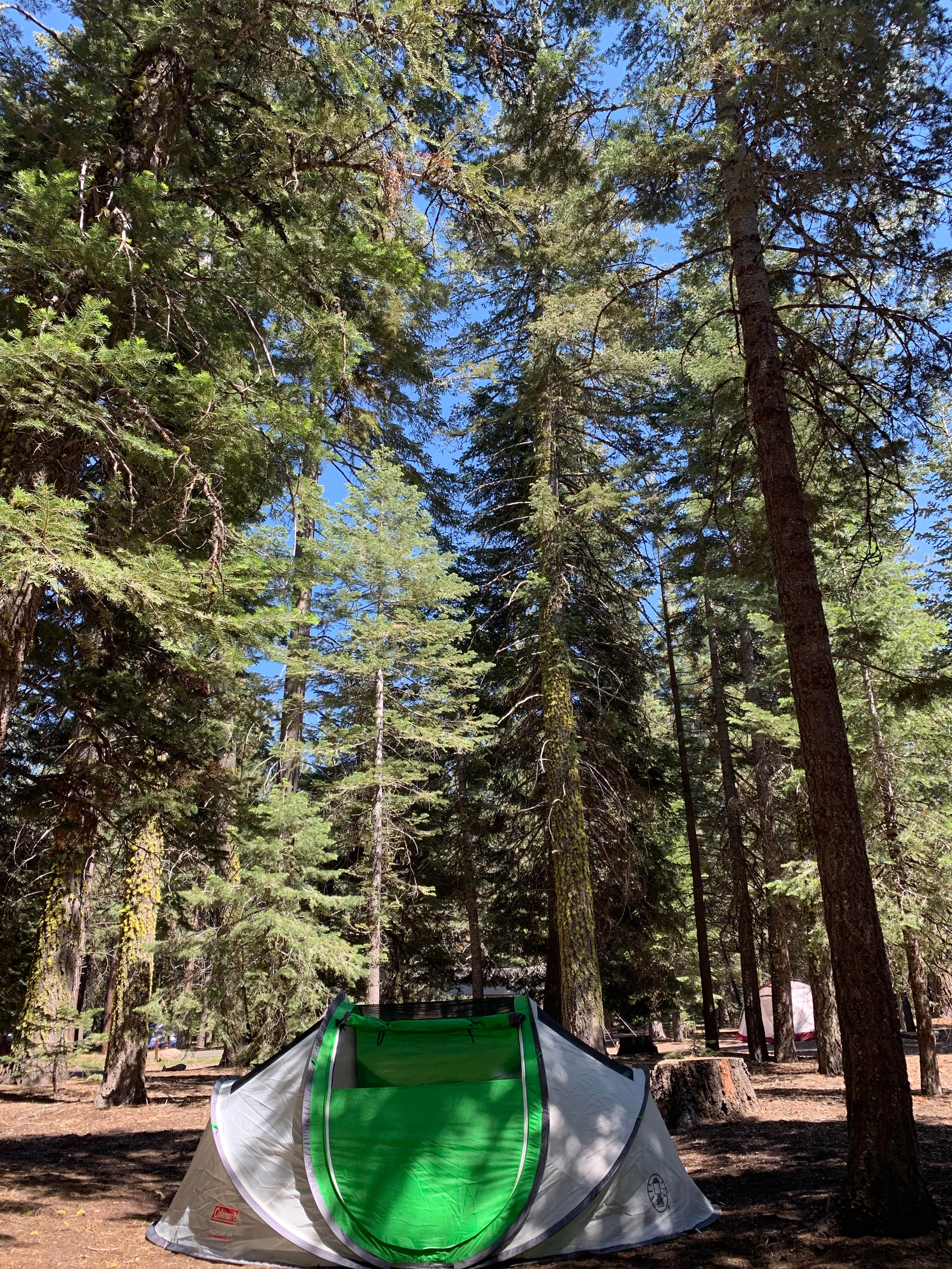 Best camping in Lassen National Forest The Dyrt
