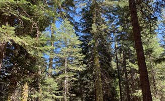 Jillean G.'s photo at Manzanita Lake Campground — Lassen Volcanic National Park near Redwoods, CA
