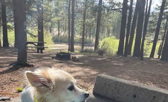 Camping near Black Mountain Lookout: Lone Rock Campground, Janesville, California