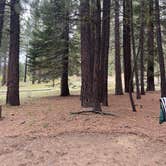 Review photo of Lone Rock Campground by Marisa D., July 6, 2021