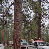 Review photo of Logger Campground by maricarmen P., July 6, 2021