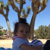 Review photo of Black Rock Campground — Joshua Tree National Park by Jillean G., July 6, 2021