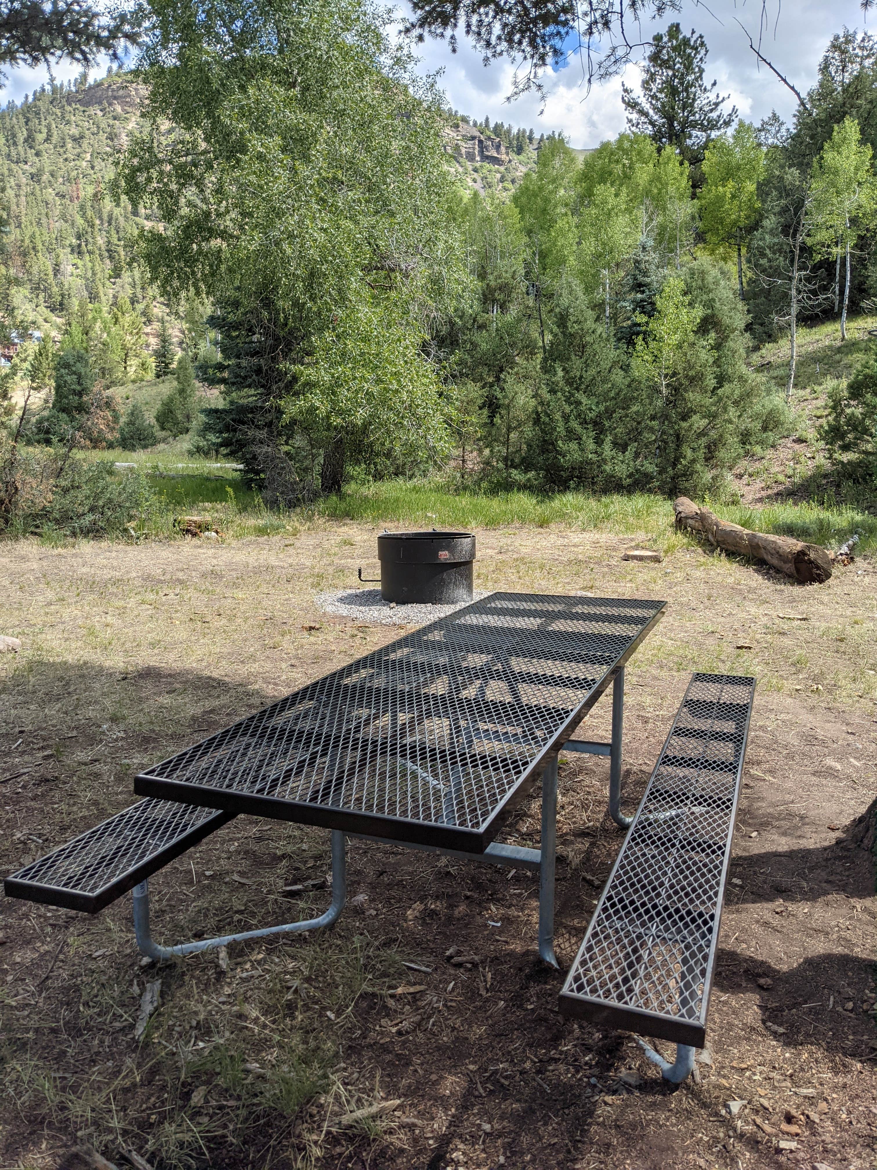 Camper submitted image from Mary E Campground - Norwood RD - 5