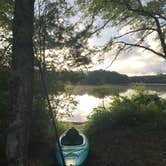Review photo of Curlew Pond Campground — Myles Standish State Forest by Emmanuel O., July 6, 2021