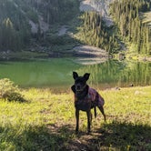 Review photo of Alta Lakes Campground (Dispersed) by Gillian C., July 6, 2021