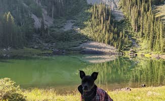 Gillian C.'s photo of camping with pets at Alta Lakes Campground (Dispersed) near Ophir, CO