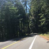 Review photo of Hidden Springs Campground — Humboldt Redwoods State Park by Robert M., July 6, 2021