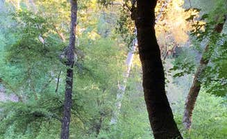 Jillean G.'s photo of tent camping at Nacimiento Campground near Bradley, CA
