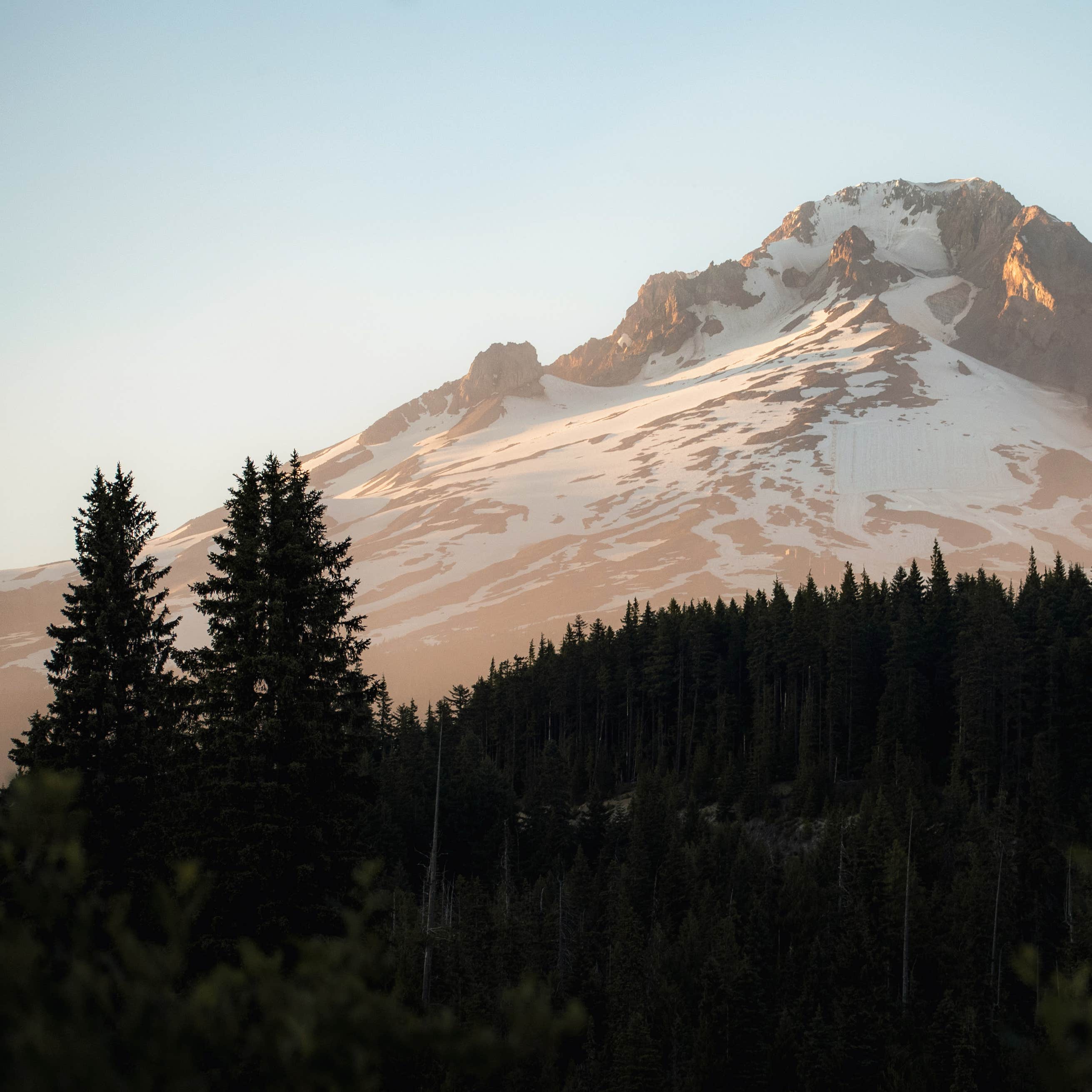 Summit Meadows Airstrip Camping | The Dyrt