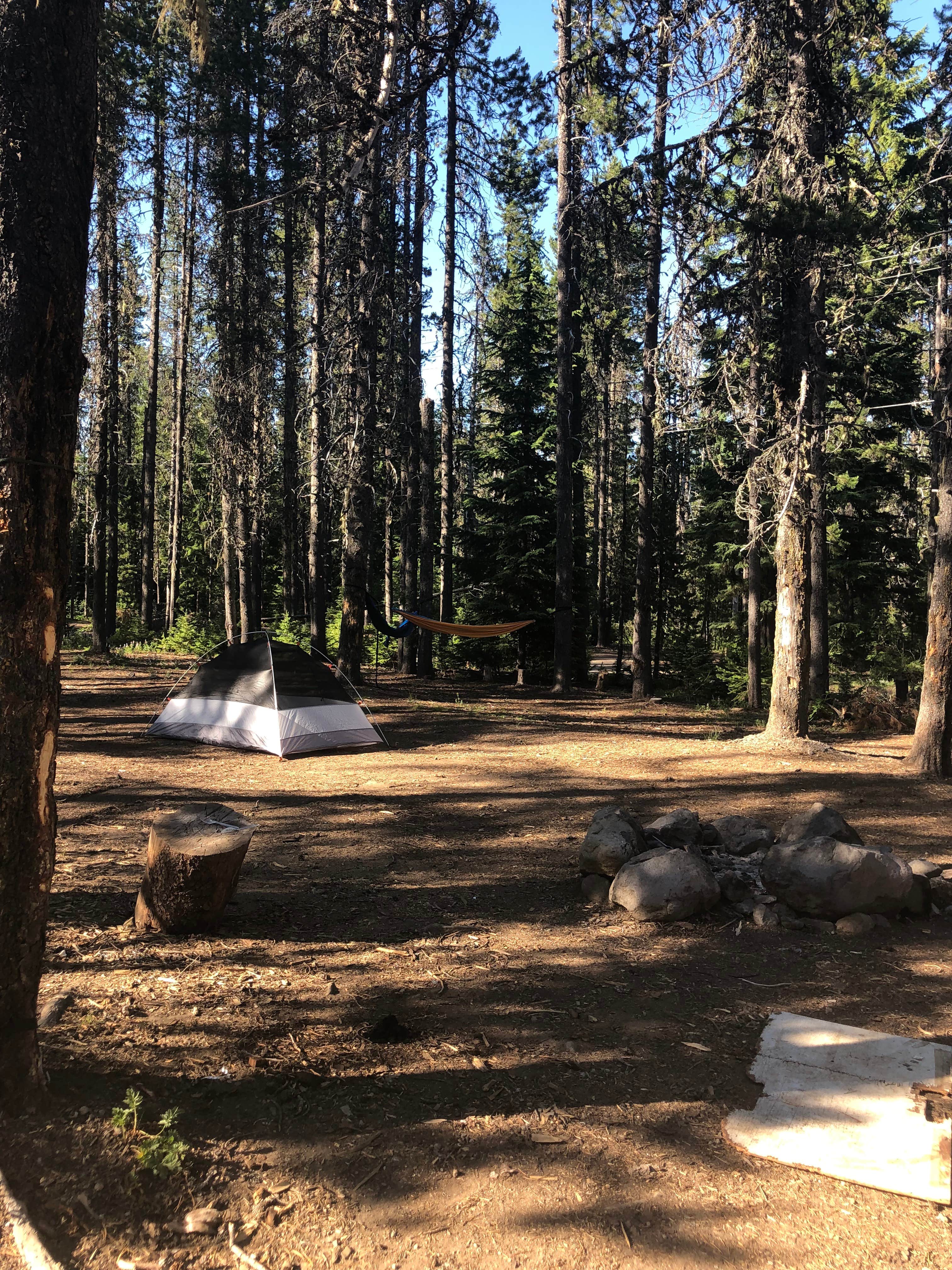 Katie M.'s photo at Summit Meadows Airstrip near Government Camp, OR