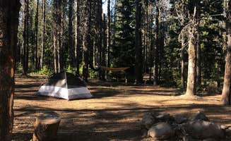 Katie M.'s photo at Summit Meadows Airstrip near Government Camp, OR