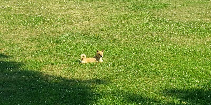 Camper submitted image from North Equestrian Campground — Brushy Creek State Recreation Area