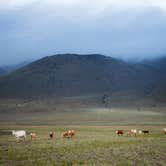 Review photo of Mann Lake Recreation Site by Katie M., July 6, 2021