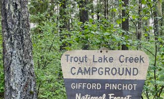 Camping near Peterson Prairie Campground: Gifford Pinchot National Forest Trout Lake Creek Campground, Trout Lake, Washington