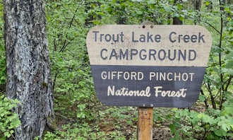 Camping near Meadow Creek Indian Campground: Gifford Pinchot National Forest Trout Lake Creek Campground, Trout Lake, Washington