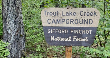 Gifford Pinchot National Forest Trout Lake Creek Campground