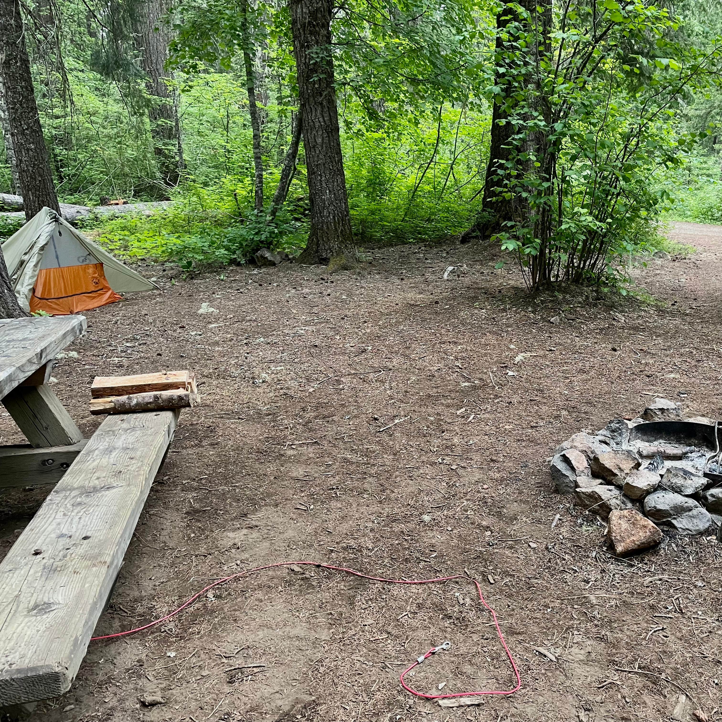 Camper submitted image from Gifford Pinchot National Forest Trout Lake Creek Campground - 5