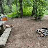 Review photo of Gifford Pinchot National Forest Trout Lake Creek Campground by Callie B., July 6, 2021