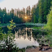 Review photo of Lake In The Woods by Callie B., July 6, 2021
