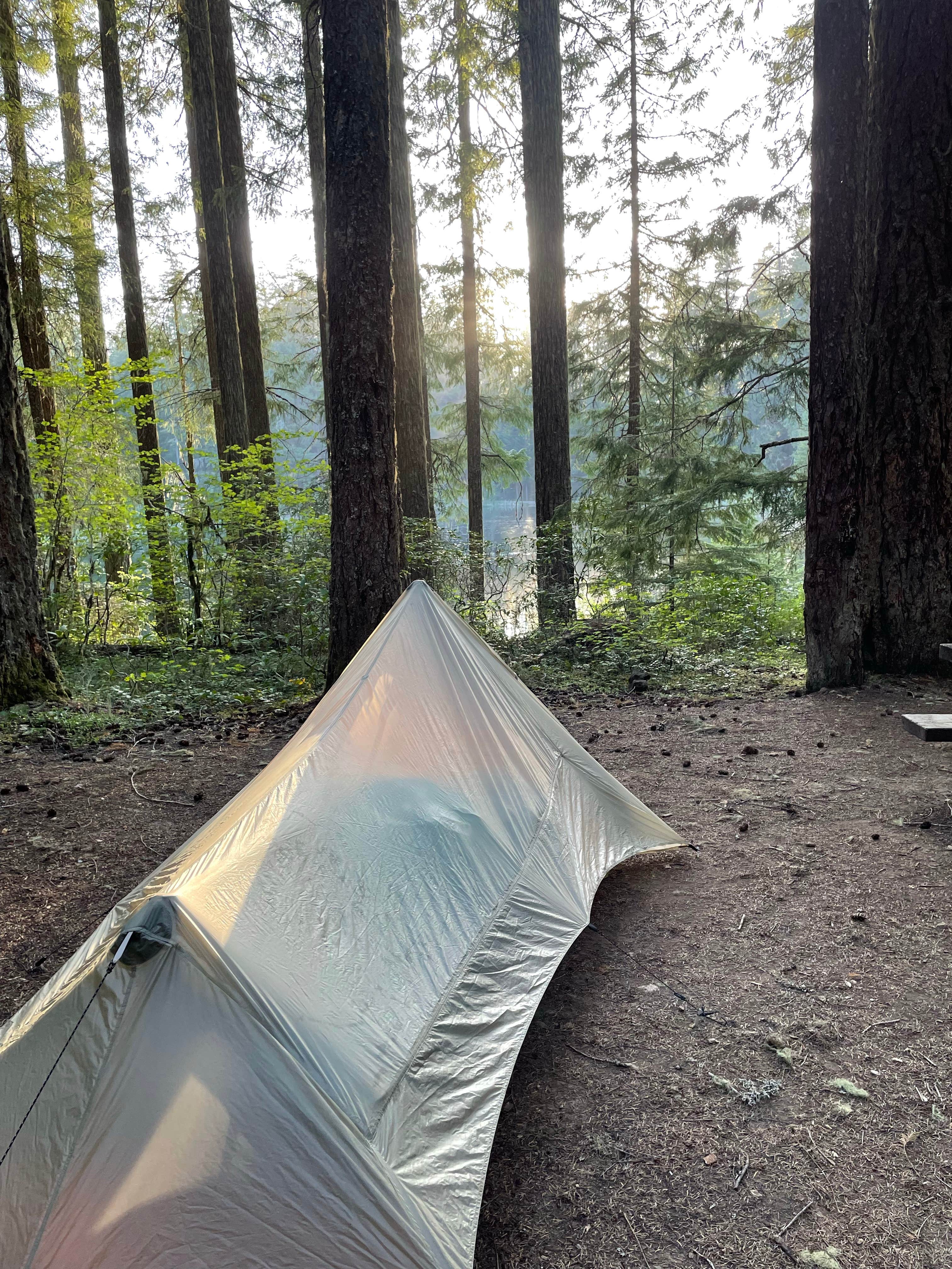 Callie B.'s photo at Lake In The Woods near Idleyld Park, OR