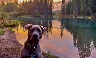 Callie B.'s photo of camping with pets at Jackson F. Kimball State Recreation Site near Fremont-Winema National Forest