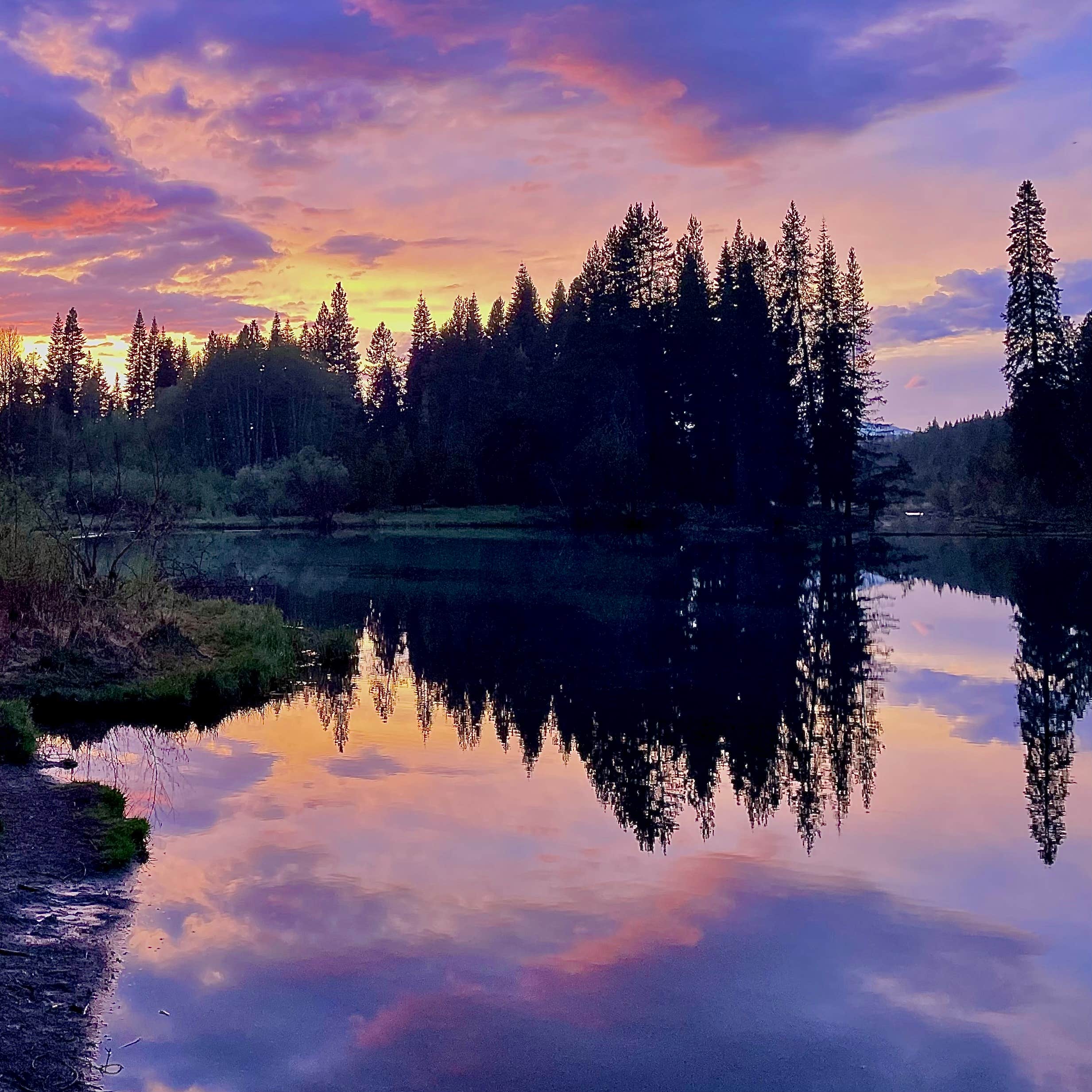 Callie B.'s photo of a dispersed camping area at Jackson F. Kimball State Recreation Site near Beatty, OR