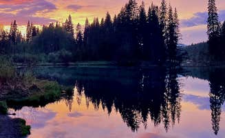 Callie B.'s photo of a dispersed camping area at Jackson F. Kimball State Recreation Site near Diamond Lake, OR