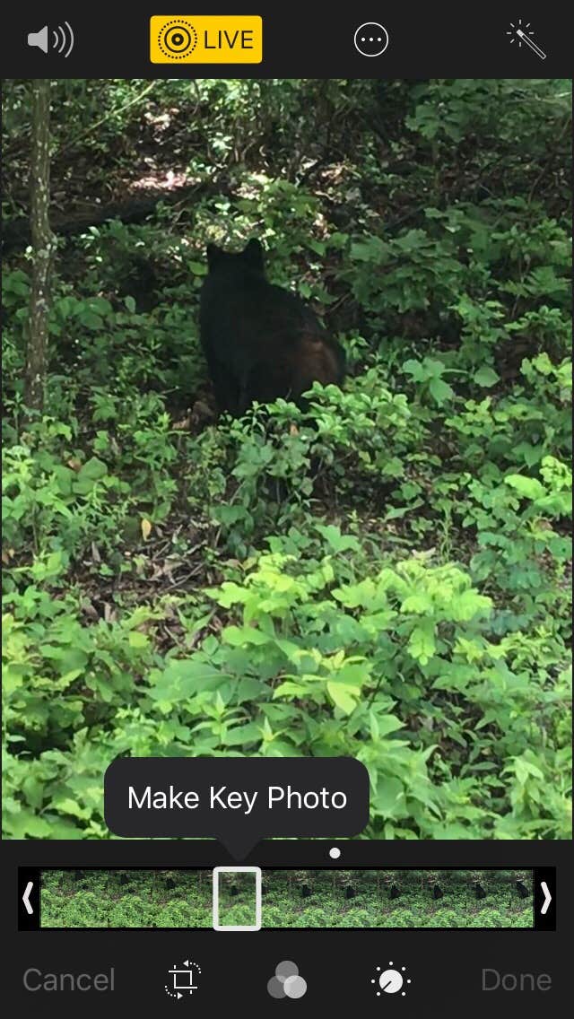 Camper-submitted photo at Loft Mountain Campground — Shenandoah National Park in Virginia